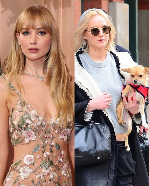 3790_4.jpg (84.8 Kb)