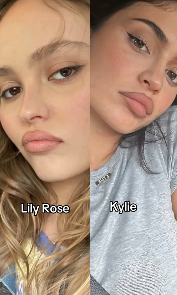 4017_6.jpg (80.89 Kb)