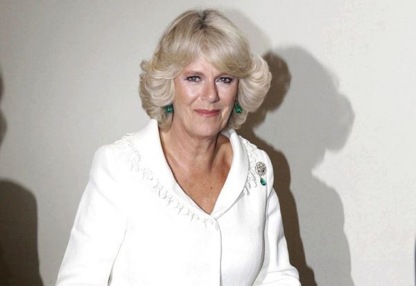 84_1.jpeg (23.31 Kb)