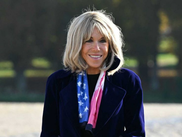 31_brizhit_makron.png (325.95 Kb)