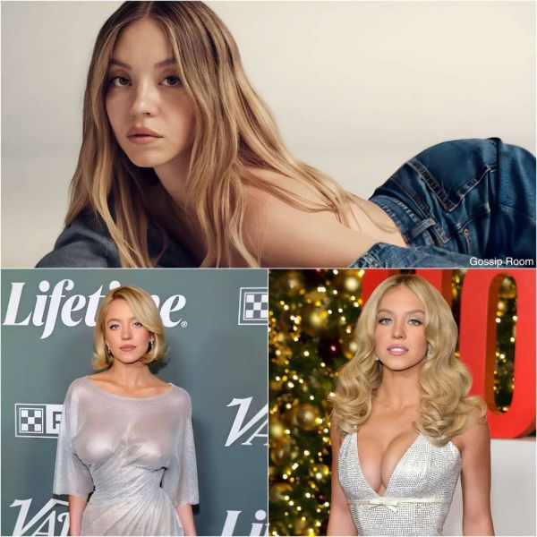 5937_3.jpg (62.38 Kb)