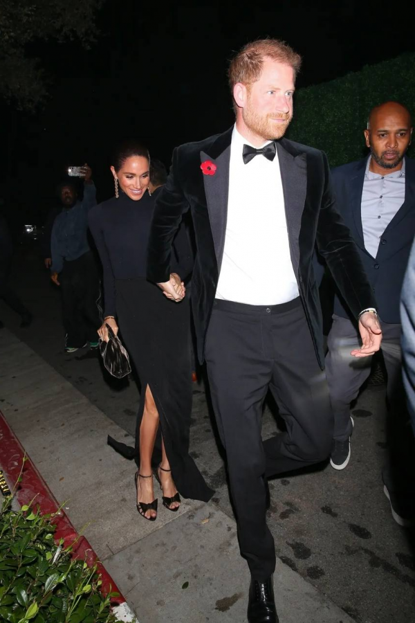 6082_image_3.png (610.04 Kb)