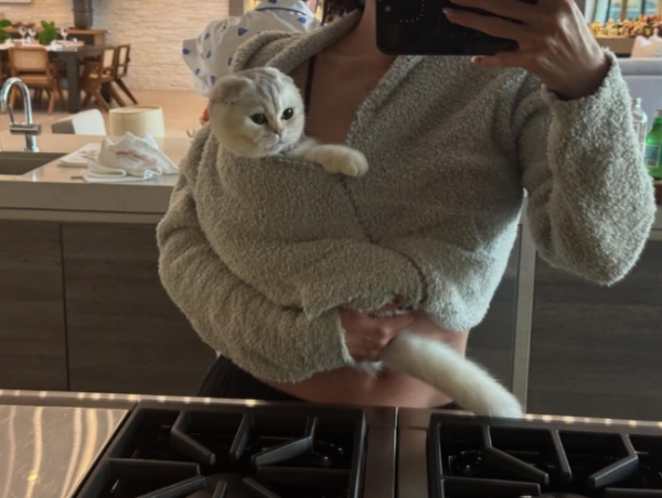 6298_image_7.png (355.19 Kb)