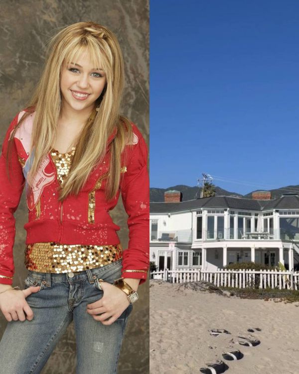 6742_0_a.jpg (74.21 Kb)