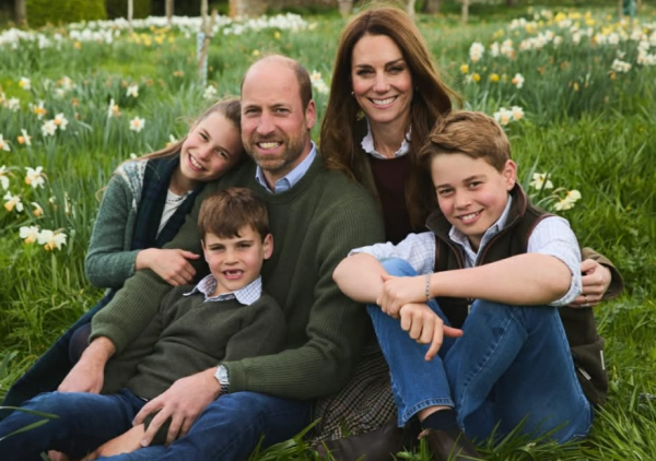 7029_image.png (451.81 Kb)