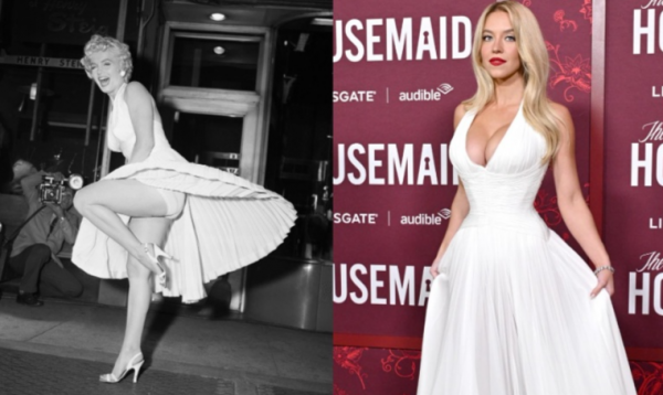 7630_image_2.png (250.84 Kb)