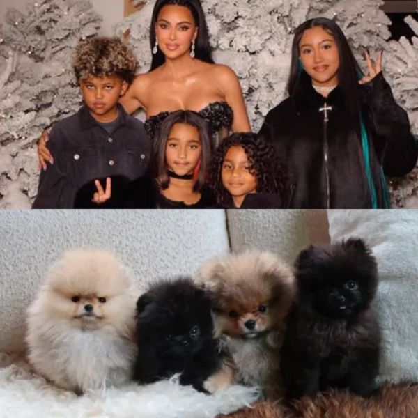 7770_0.jpg (56.88 Kb)