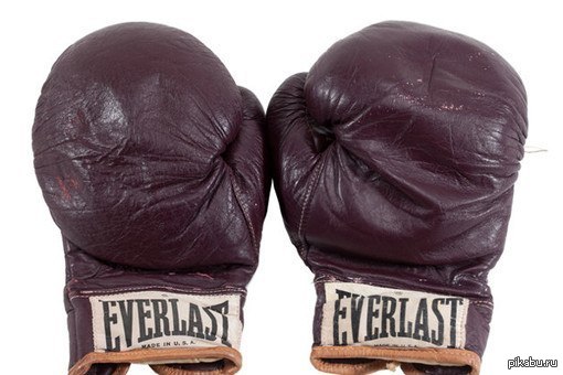 7870_perchatki-everlast.jpg (40.58 Kb)