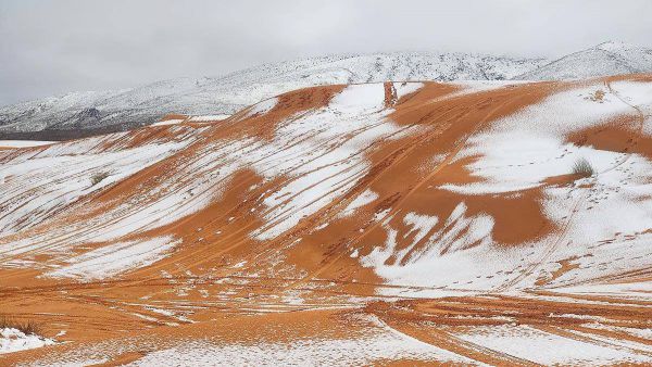 9023_7.jpg (59.97 Kb)