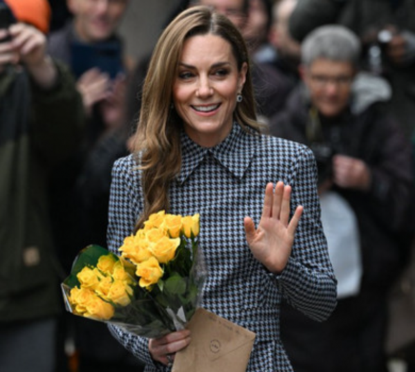 9144_image_2.png (470.5 Kb)