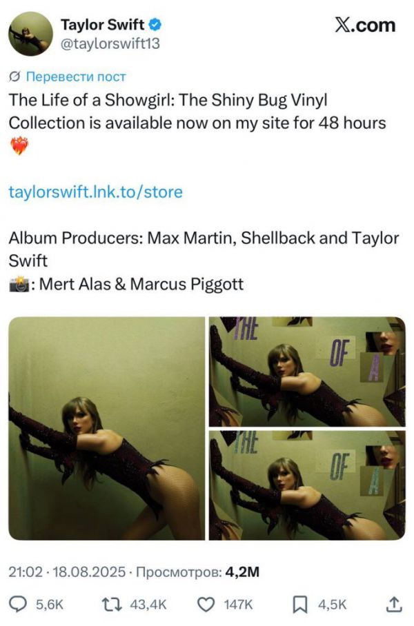 9231_2.jpg (67.14 Kb)