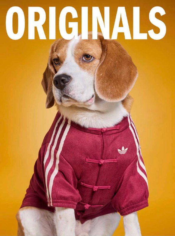 9466_7.jpg (79.9 Kb)