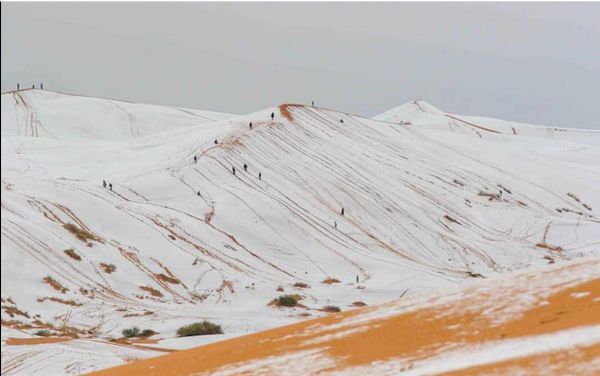 9589_1.jpg (33.54 Kb)