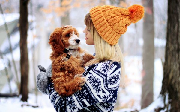 9668_www_getbg_net______girl_in_a_red_sweater_with_a_dog_075660_.jpg (47.3 Kb)