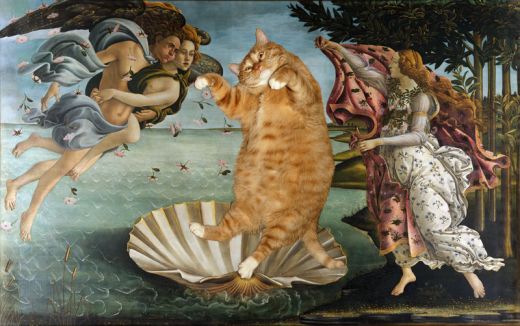 botticelli-the-birth-of-venus-cat-sm1.jpg (43.26 Kb)