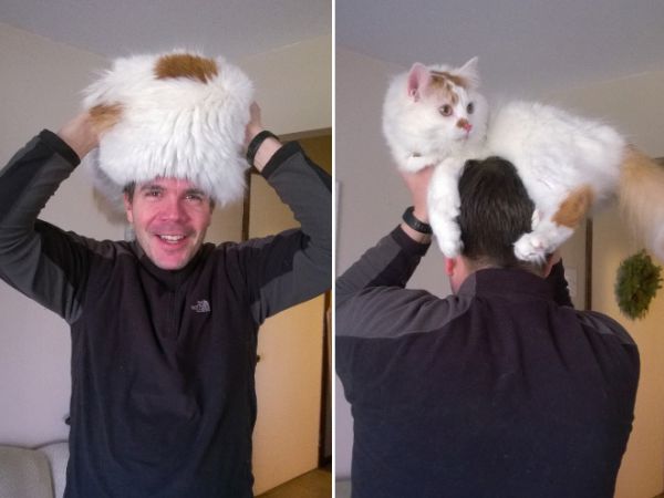 cat-hat6.jpg (29.7 Kb)