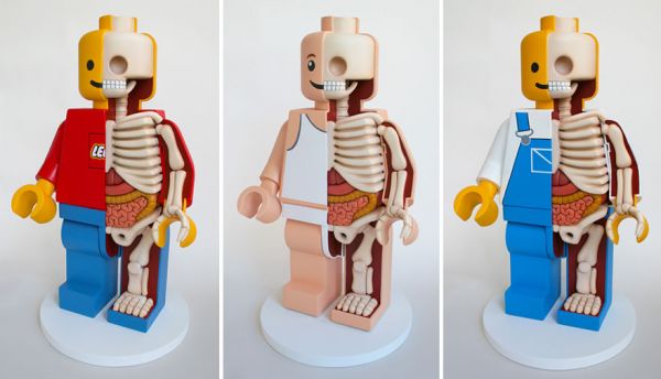 children-toy-cartoon-anatomy-bones-insides-jason-freeny-17__880.jpg (31. Kb)