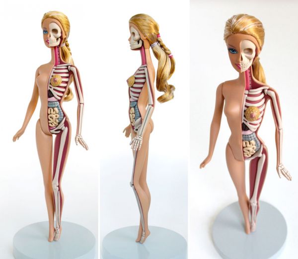 children-toy-cartoon-anatomy-bones-insides-jason-freeny-19__880.jpg (36 Kb)