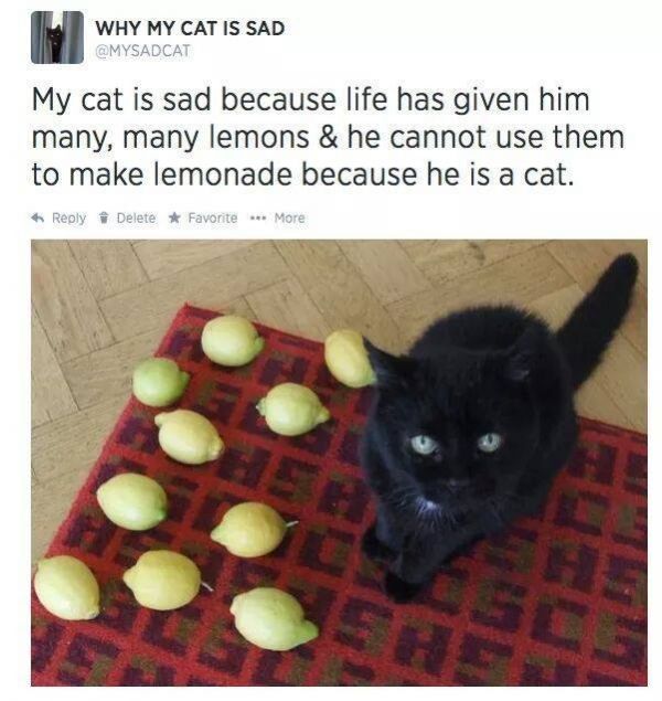 lemons.jpg (58.35 Kb)