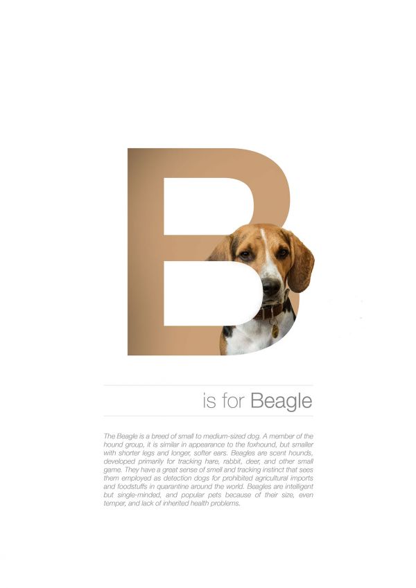 the-dog-alphabet_2.jpg (29.76 Kb)