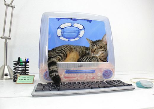 think-different-imac-upcycled-pet-beds-by-atomic-attic-1.jpg (28.7 Kb)