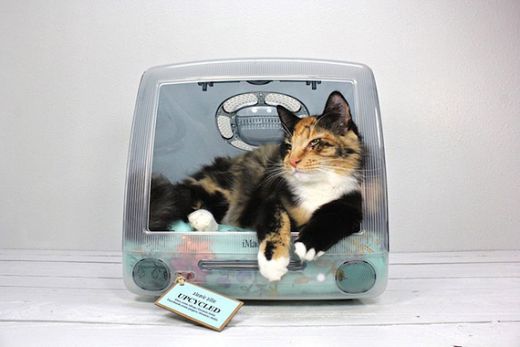 think-different-imac-upcycled-pet-beds-by-atomic-attic-2.jpg (24.44 Kb)