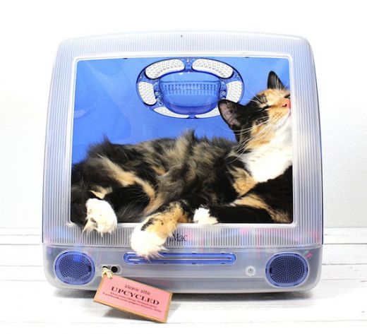 think-different-imac-upcycled-pet-beds-by-atomic-attic-9.jpg (38.14 Kb)