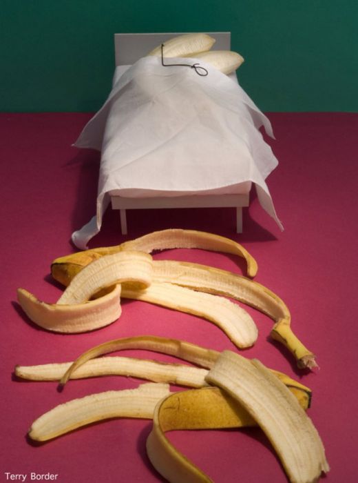 bananas-in-bed.jpg (38.33 Kb)