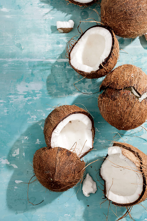 coconuts.jpg (136.05 Kb)