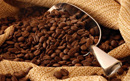 coffee-beans.jpg (.55 Kb)