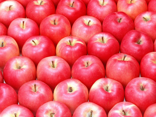 fruit_apple_apple-tree_wallpaper_vol_014_sn158.jpg (56.99 Kb)