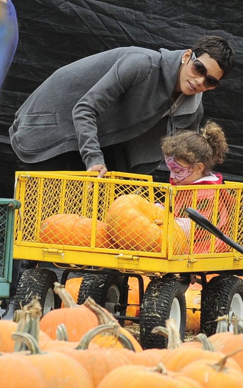 halleberry1021104.jpg (133.2 Kb)
