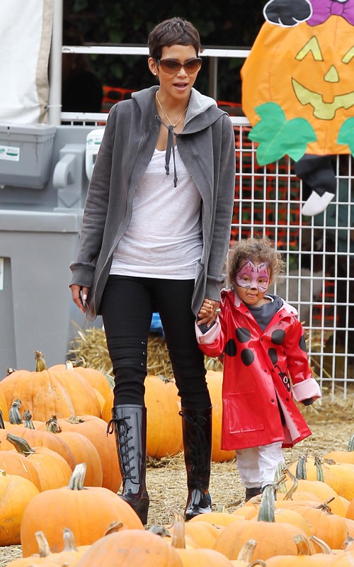 halleberry1021108.jpg (121.38 Kb)